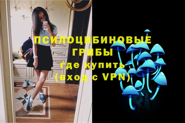 дурь Алексеевка