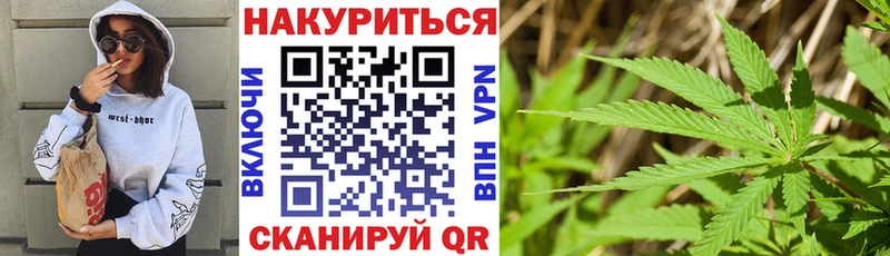 Конопля конопля Таруса